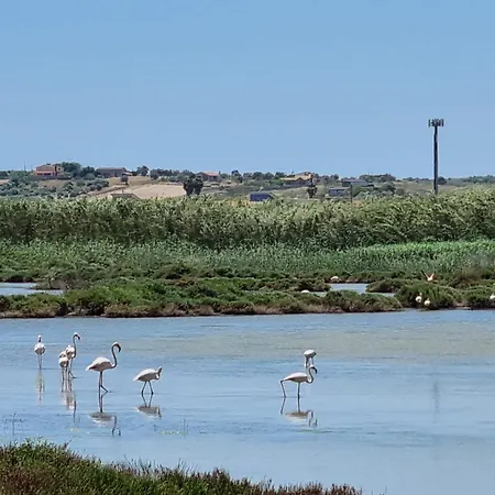 -dimartino Home- Posizione 9 Min Da Marzamemi San Lorenzo Portopalo Di Capo Passero Apartment Pachino